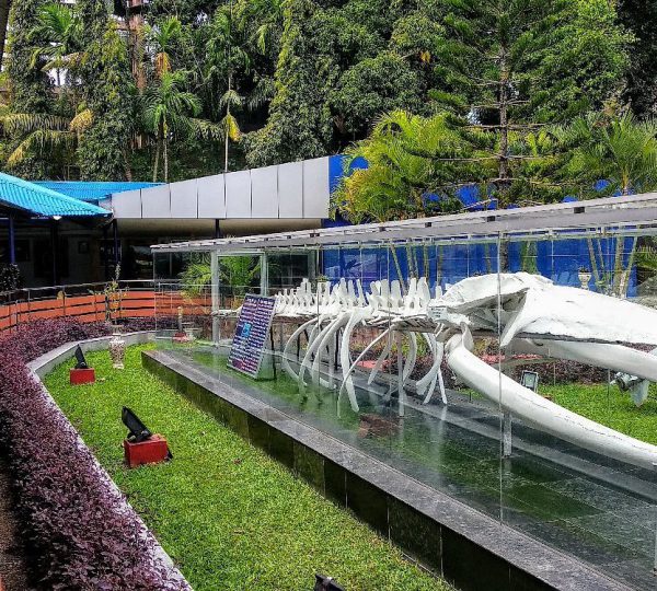 Samudhrika Marine Museum