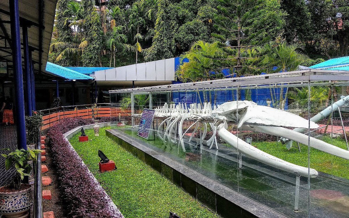 Samudhrika Marine Museum